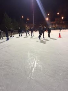 ice skate